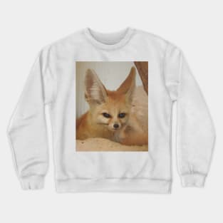 Fennec Fox Crewneck Sweatshirt